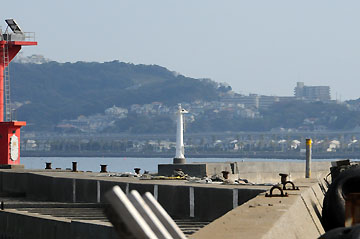 横須賀港平成2号防波堤北灯台