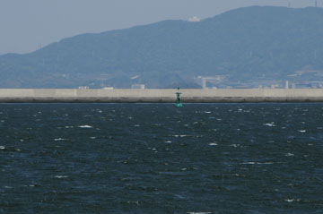 三河港豊橋第5号灯浮標