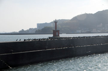 西幡豆港南防波堤灯台