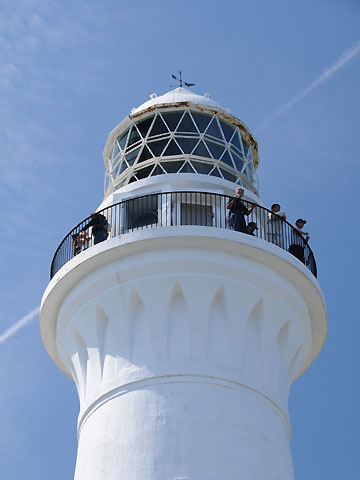 尻屋埼大根照射灯