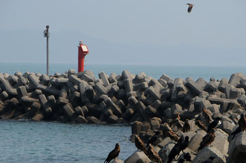 萩生港第1防波堤灯台
