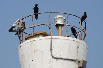 保田港防波堤灯台