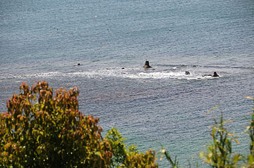 津屋崎鼻南方照射灯