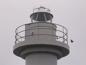 恵山泊港西防波堤灯台