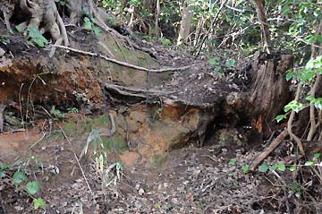 香住港城山灯台