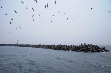 舳倉島港第1離岸堤灯台