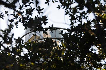 山ノ神鼻月島照射灯