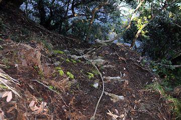 小木港内ノ澗防波堤灯台