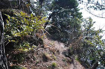 小木港内ノ澗防波堤灯台