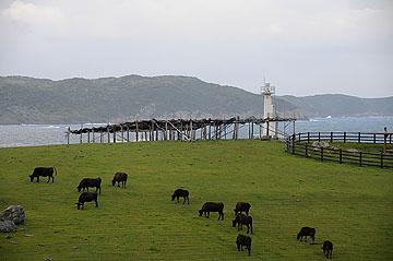 肥前立石埼灯台