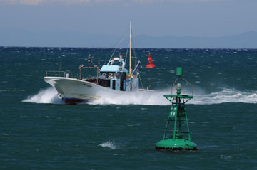 大井川港第3号灯浮標