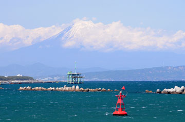大井川港第4号灯浮標