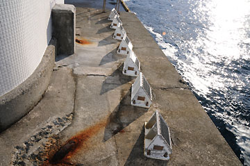 阿古港突堤灯台