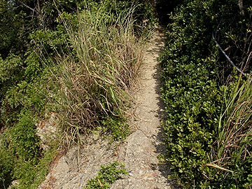 海南南防波堤灯台