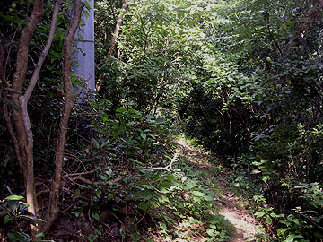 紀伊宮崎ノ鼻灯台