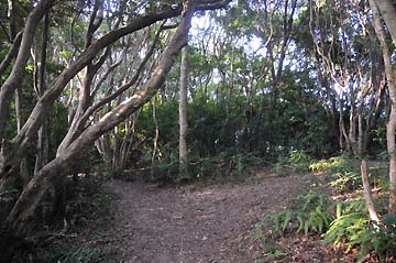 宇久井港口灯台