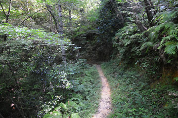 江崎港竜神埼灯台